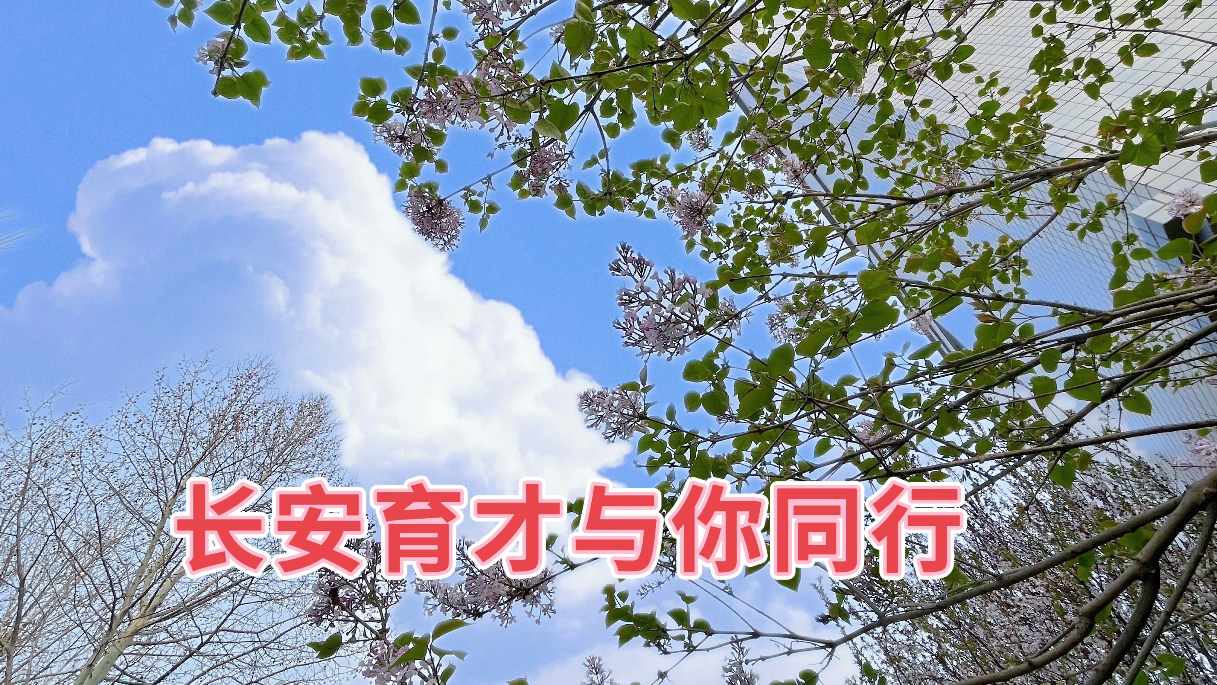 春分‖春日好時光，攜手共同行